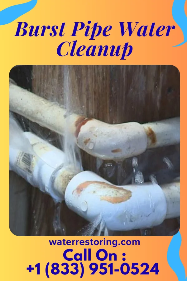 Burst Pipe Water Cleanup in Jamestown, TN