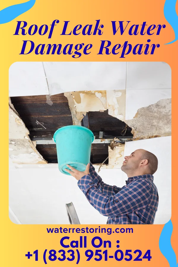 Roof Leak Water Damage Repair in Jamestown, TN